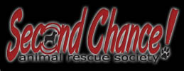 Second Chance Animal Rescue